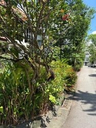 Mount Sinai (D10), Terrace #463601361